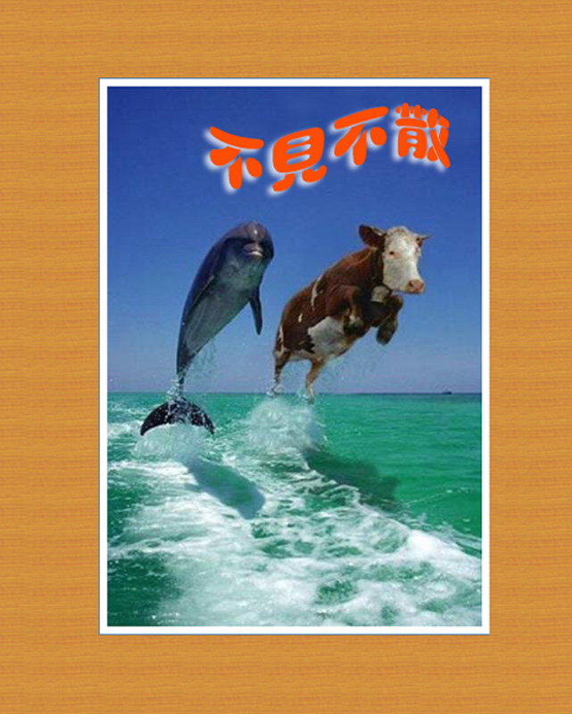 [����]12��17��9�գ������죩������