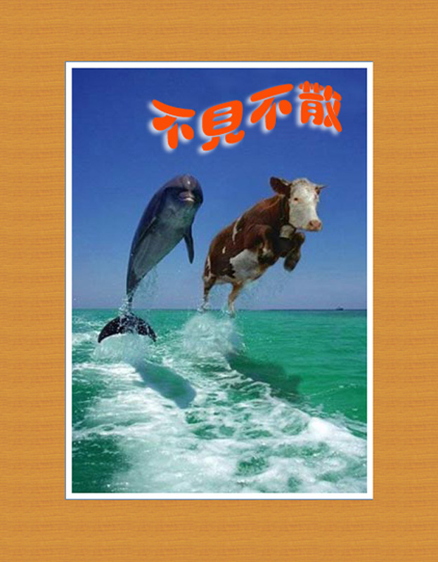 [����]12��17�գ������죩������