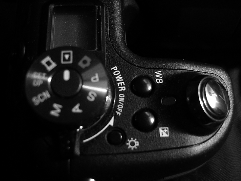 ������ɧ��