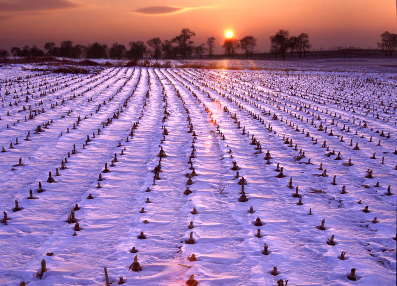 [����]2006��2��������Ʒ