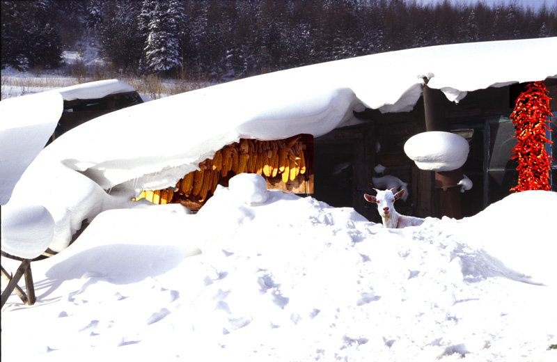 [����]2006��2��������Ʒ