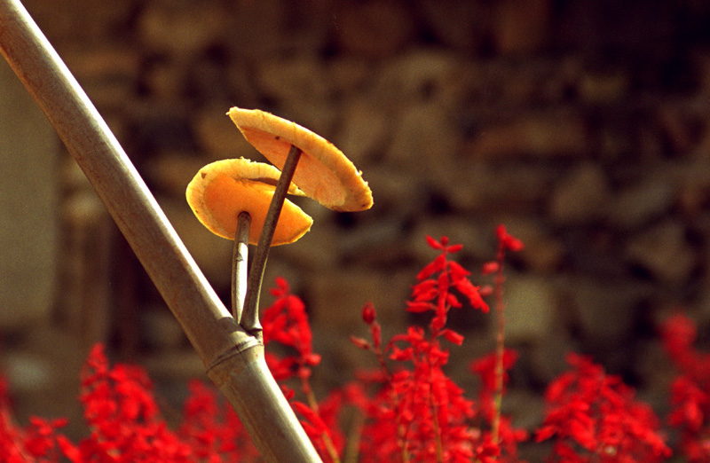 [����]2006��2��������Ʒ