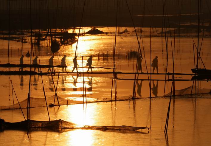 [����]2006��3��������Ʒ