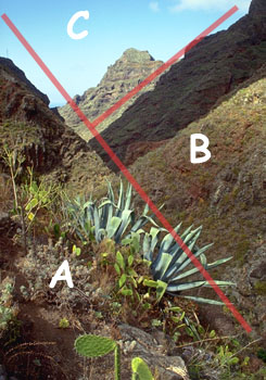 һЩ��Ӱ��ͼ�ĺ�����