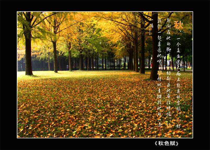 [����]��������ͼƬ��10��������Ʒ