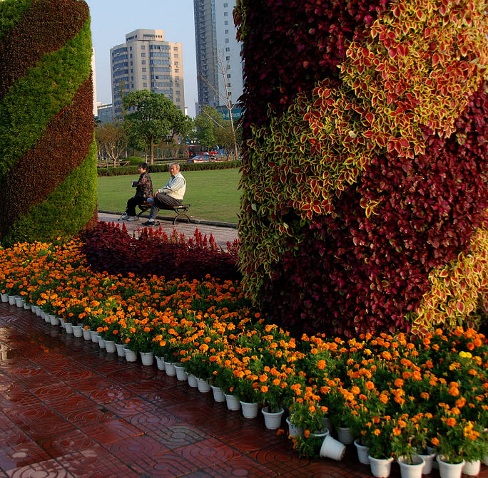 [����]��������ͼƬ��10��������Ʒ