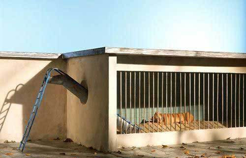 [ת��]����֮���Ц�棩