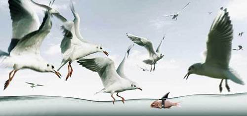 [ת��]����֮���Ц�棩