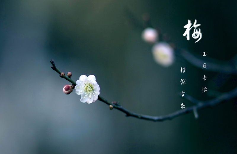 [����]]����������ͼƬ��3��������Ʒ