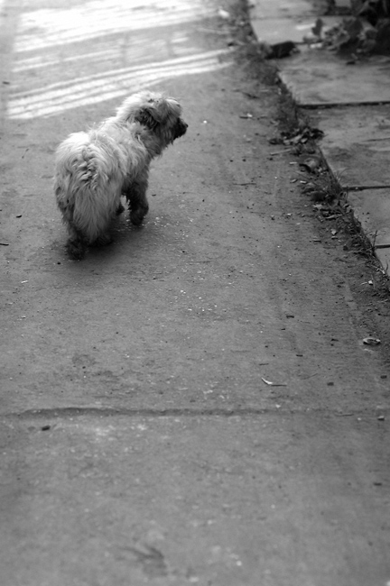 ·�������