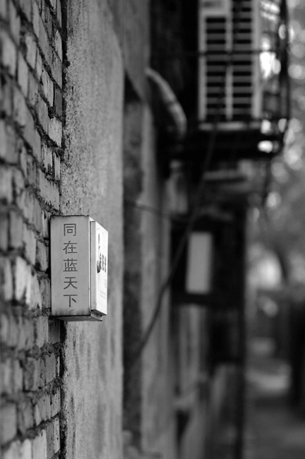 ·�������