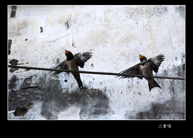 [����]"��������ͼƬ"7��������Ʒ