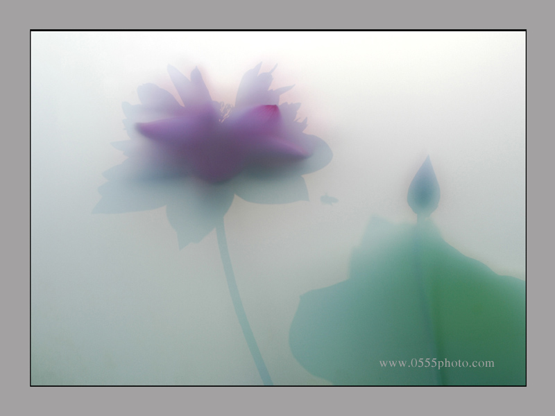 [����]"��������ͼƬ"7��������Ʒ