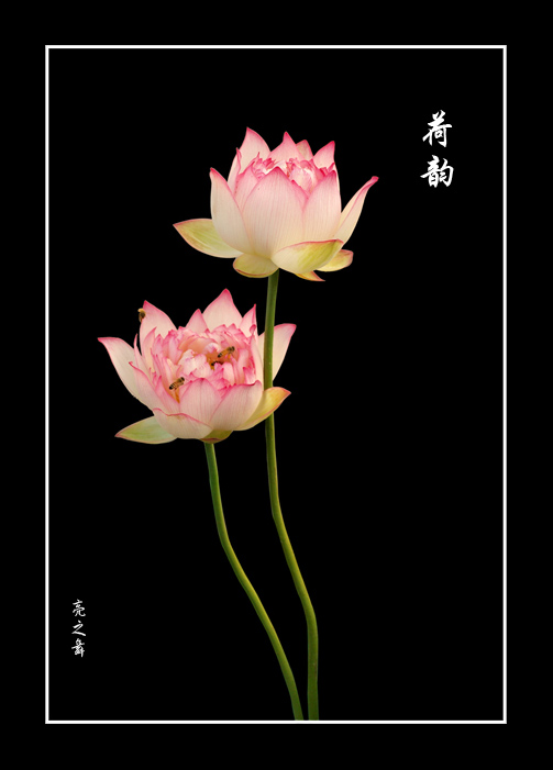 [����]"��������ͼƬ"8��������Ʒ