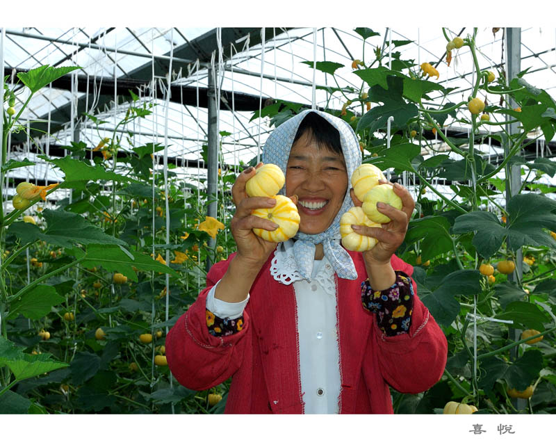 ��Ͷ�塿2009����������ͼƬ��11����