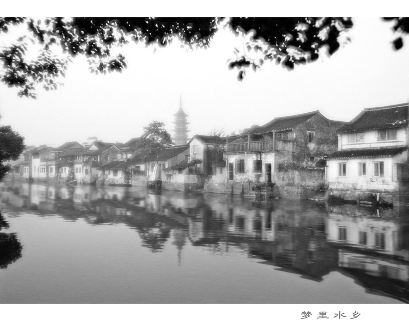 ��Ͷ�塿2009����������ͼƬ��11����