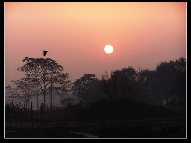 ��Ͷ�塿2009����������ͼƬ��11����