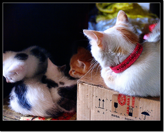 [ԭ��]���������