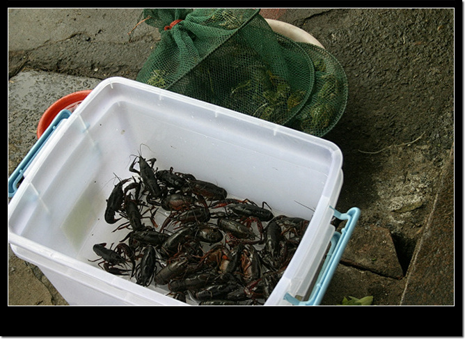 [ԭ��]���������