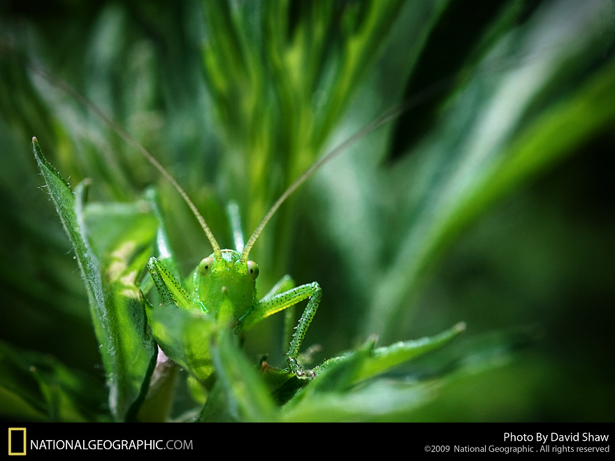 ����-�����΢������