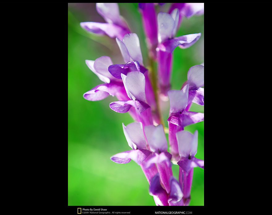 ����-�����΢������