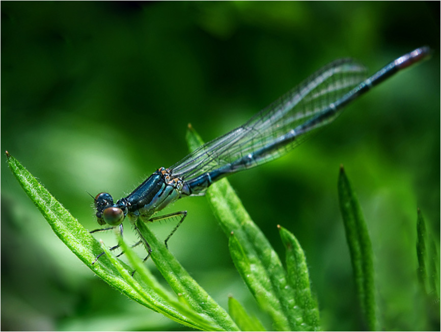 ����-�����΢������