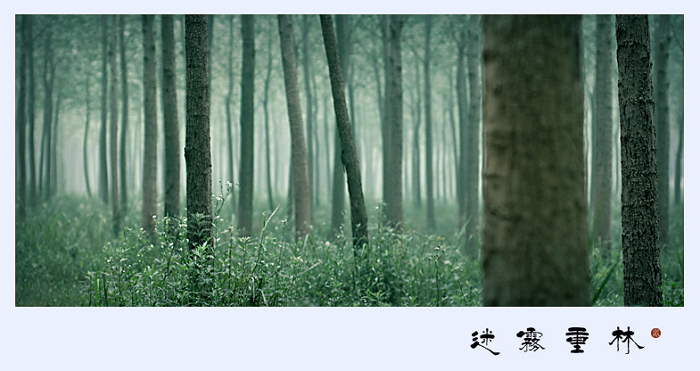 [ԭ��]��������