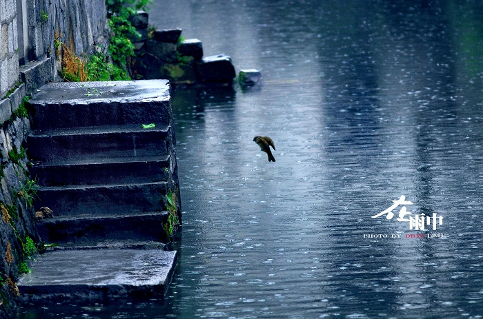 [ԭ��]�����С�����