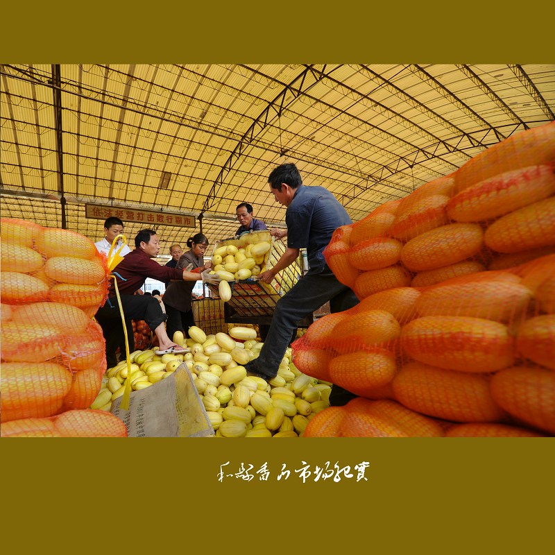 ��������г�