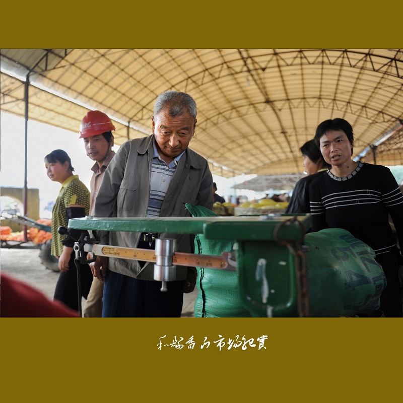 ��������г�