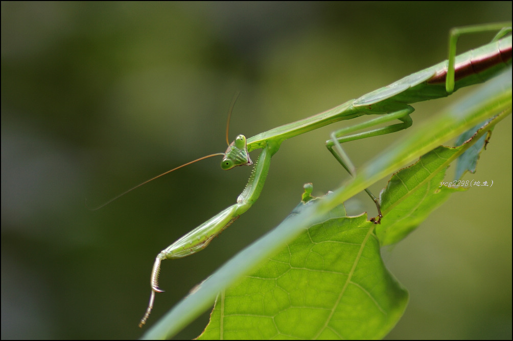 [ԭ��][ԭ��]������ˣ����루�����У�