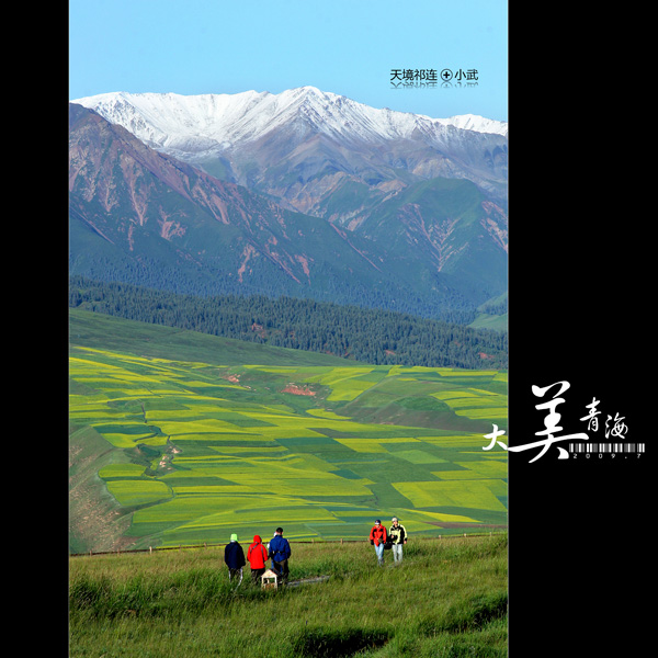 ���޼�--�����ຣ