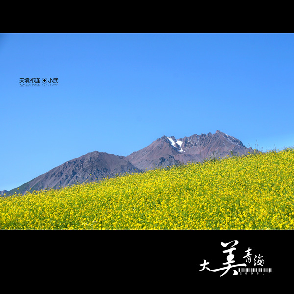 ���޼�--�����ຣ