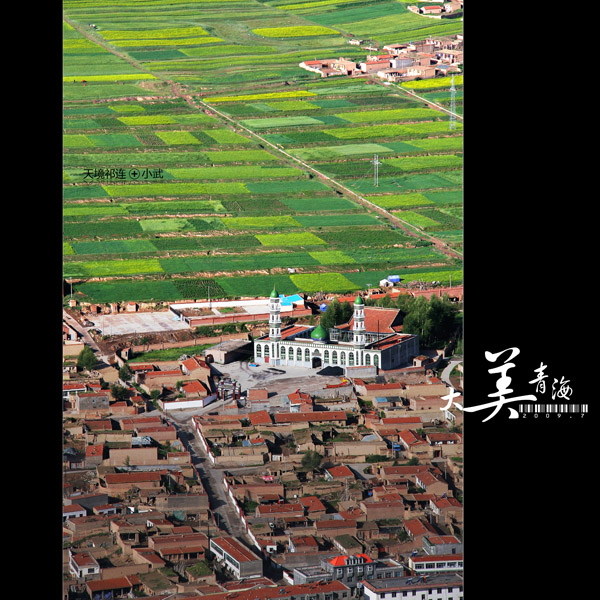 ���޼�--�����ຣ