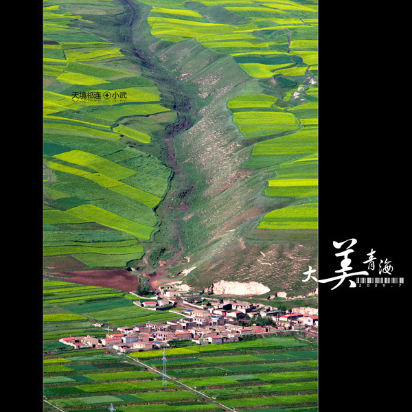 ���޼�--�����ຣ