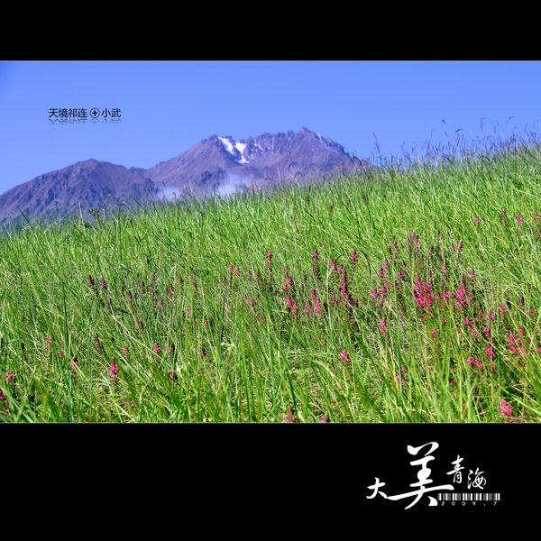 ���޼�--�����ຣ