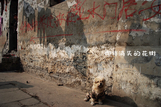 [ԭ��]������ʧ�Ļ���