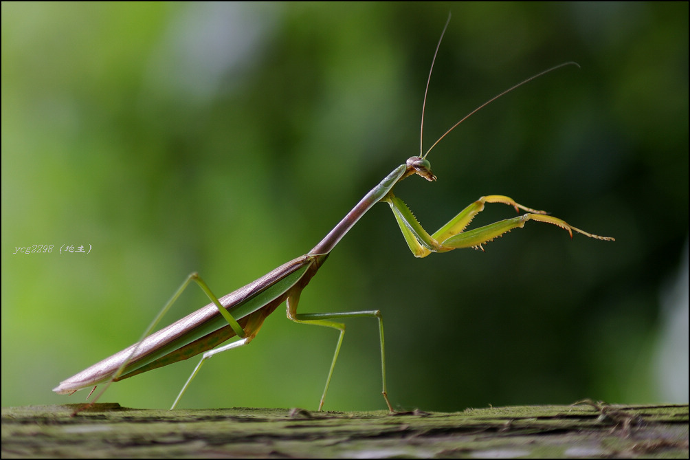 [ԭ��][ԭ��]������ˣ����루�����У�