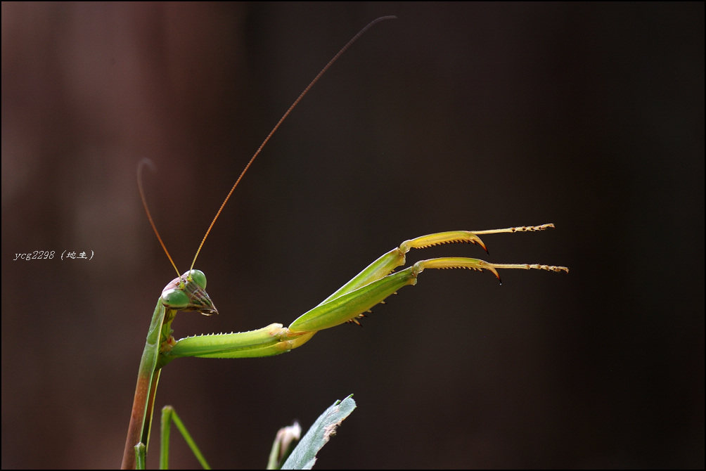 [ԭ��]�ֶ�ָ�ӡ�����루�����У�