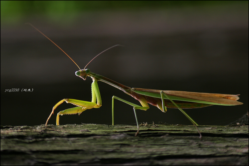 [ԭ��]�ֶ�ָ�ӡ�����루�����У�