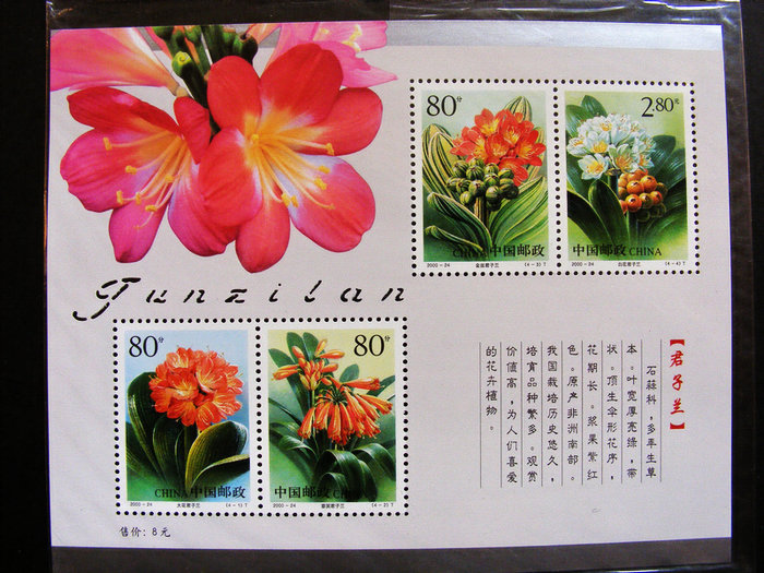 nEO_IMG_nEO_IMG_LQ��S5800 063.jpg