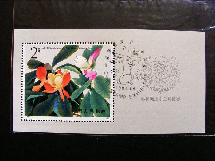 nEO_IMG_nEO_IMG_LQ��S5800 067.jpg