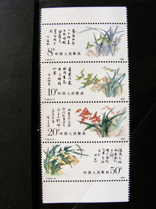 nEO_IMG_nEO_IMG_LQ��S5800 062.jpg