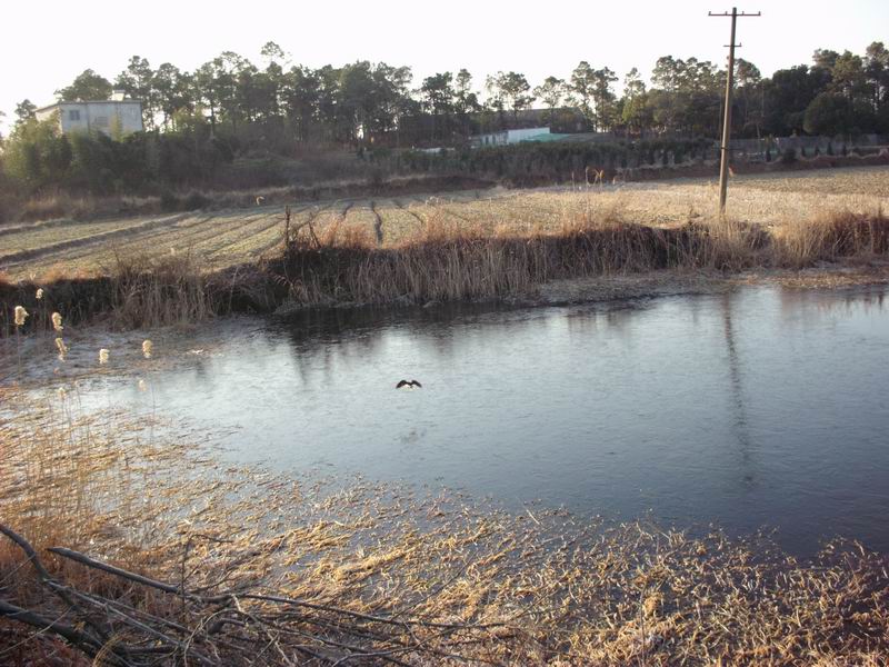 ������С IMG_0005.JPG