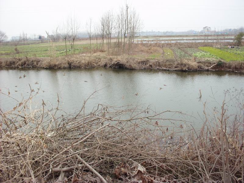 ������С IMG_0050.JPG