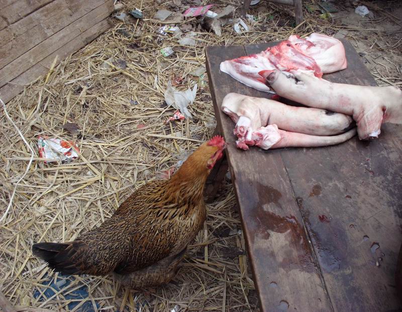 ������С IMG_0031.JPG