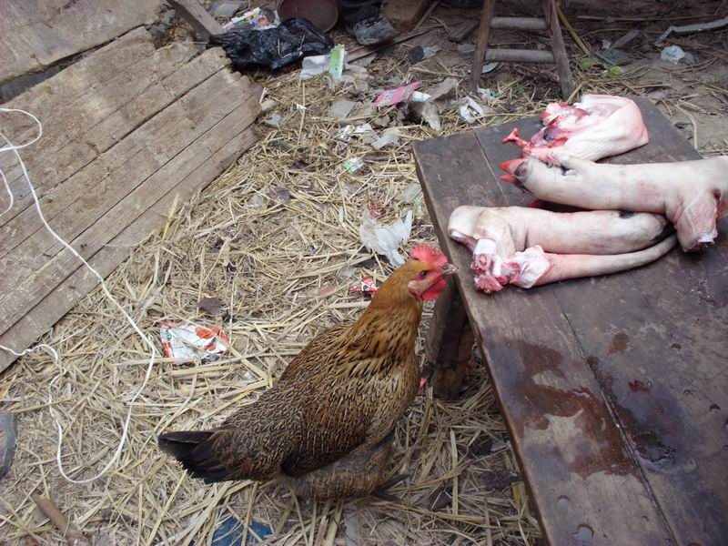 ������С IMG_0028.JPG