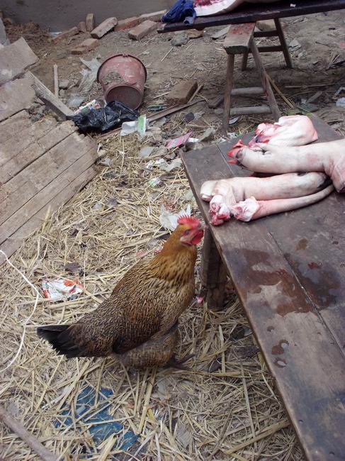 ������С IMG_0027.JPG