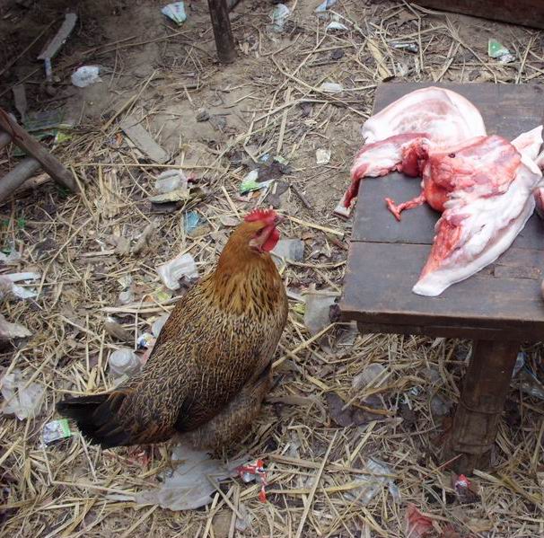 ������С IMG_0033.JPG