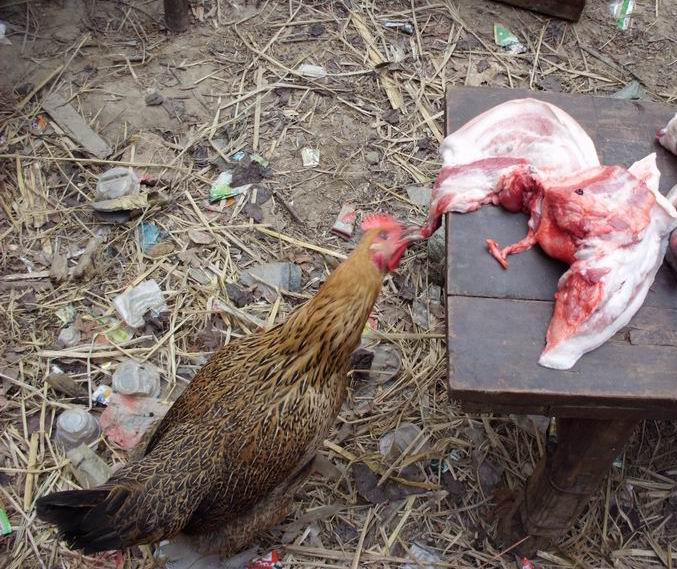 ������С IMG_0037.JPG